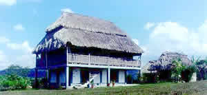 A Mayan village house