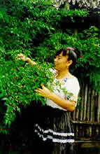 Tanah villager collecting herbs