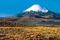 Mountain and desert