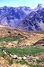 Colca Canyon Peru